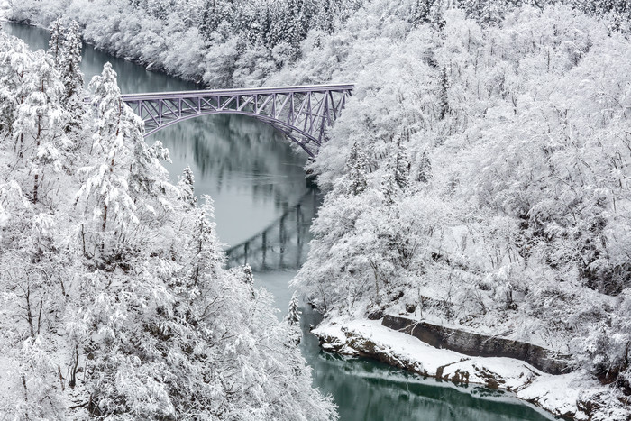 冬天铁桥和树木摄影图