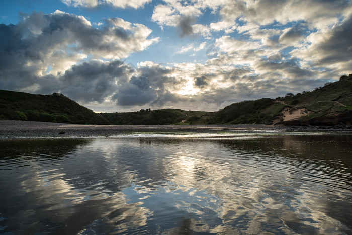 蓝色的蓝青图片