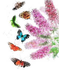 清新蝴蝶和花摄影图