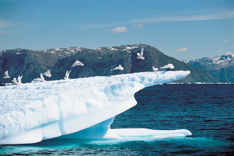 蓝色调美丽大冰川摄影图