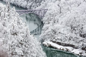 白色调冬天的雪景摄影图