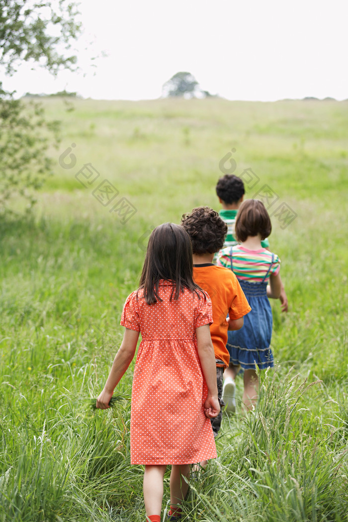 绿色调草地中的的孩子们摄影图