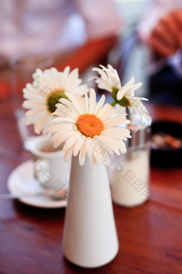 白色鲜花花瓶洋甘菊摄影图