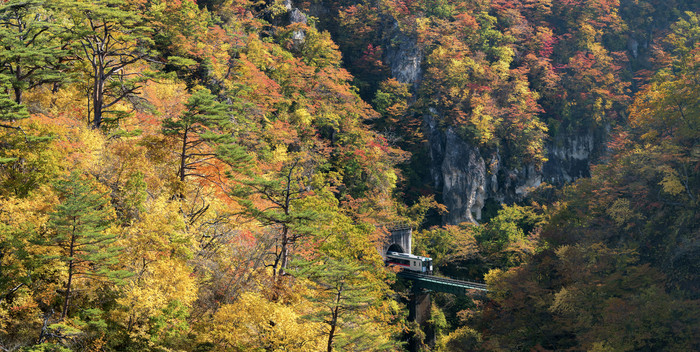 秋天山林间的火车铁路