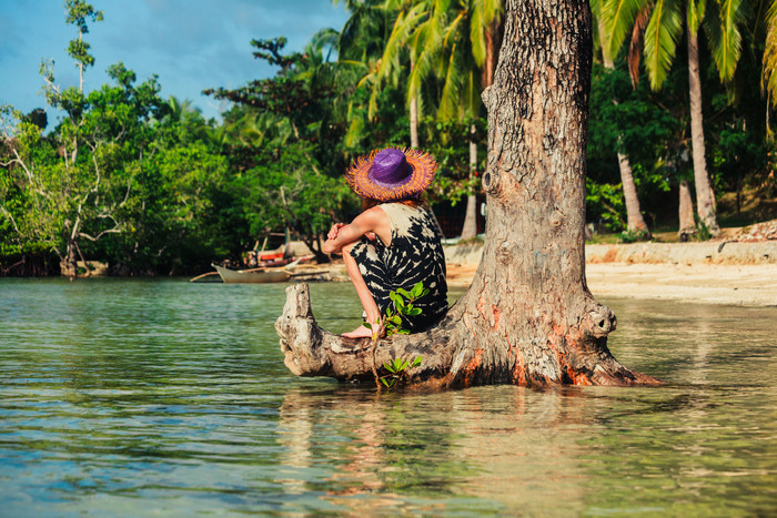 坐在树桩下的背影