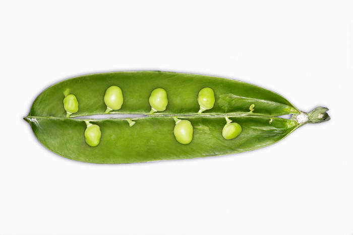 绿色豌豆荚摄影图