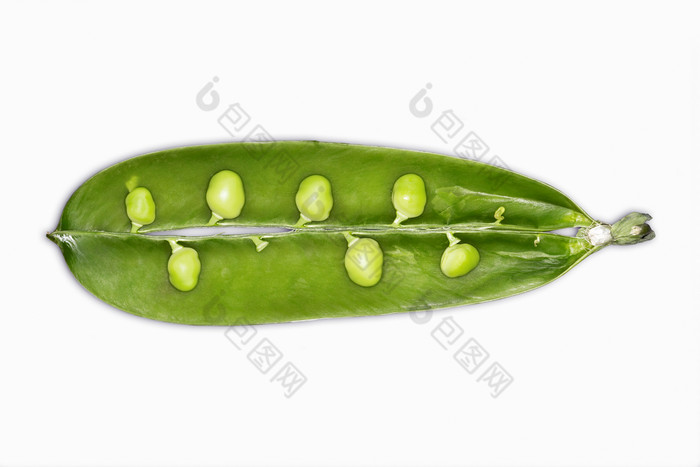 豌豆荚