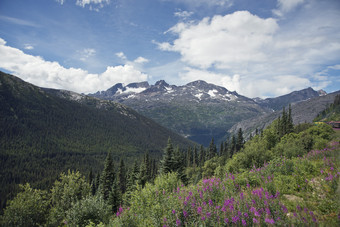 阿拉斯加山峰风景