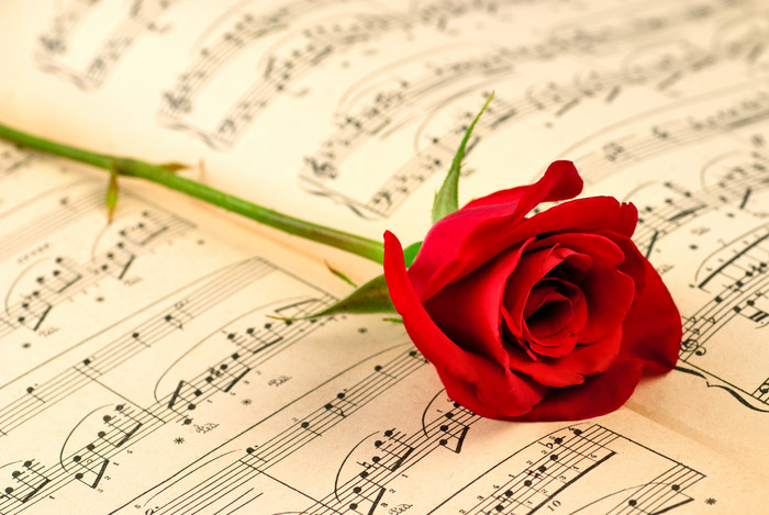音符上的玫瑰花摄影图