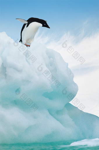 冰<strong>山上</strong>的企鹅摄影图