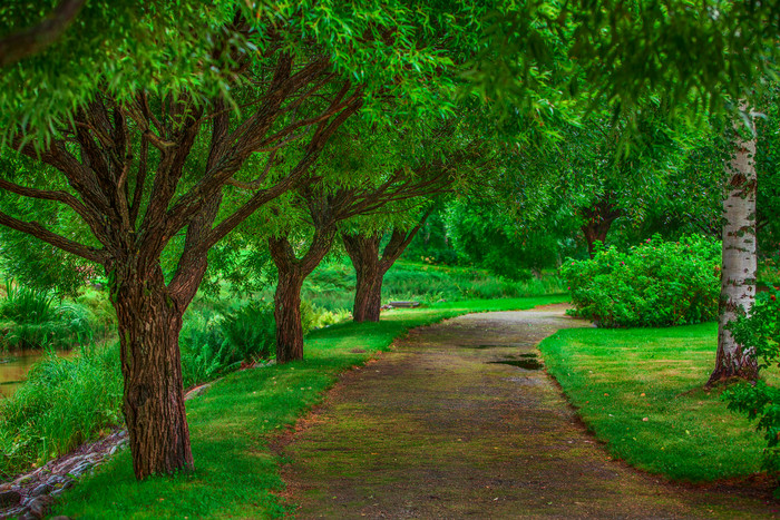 夏天的夏季大自然自然界