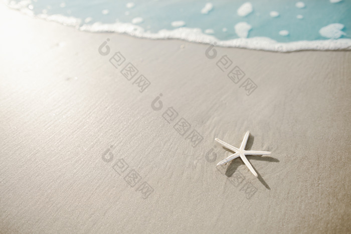 简约风沙滩上的海星摄影图