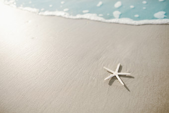 简约风沙滩上的<strong>海星</strong>摄影图
