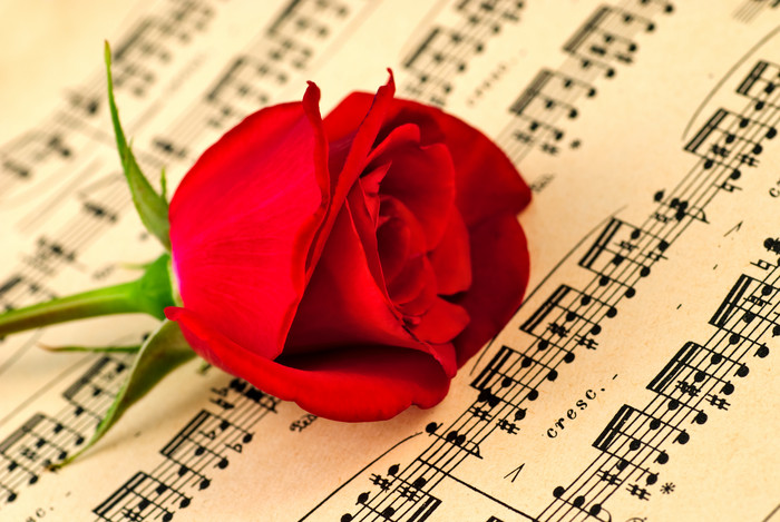 音乐书上的玫瑰花
