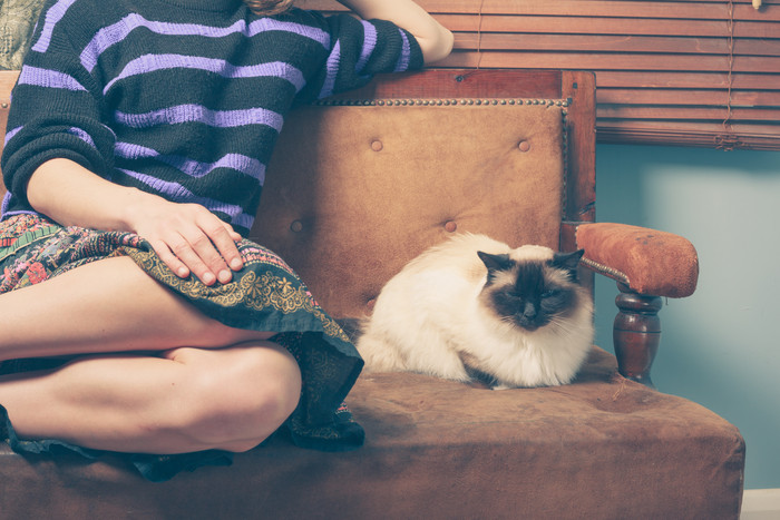 暖色调凳子上的猫和女人摄影图