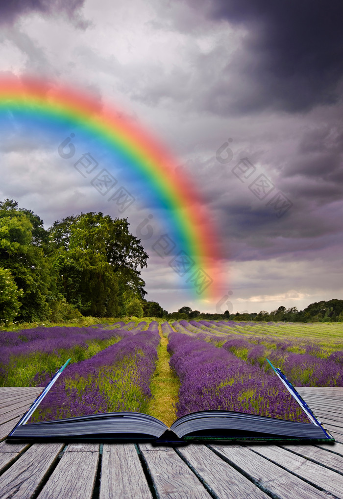 暗色调原野中的彩虹摄影图