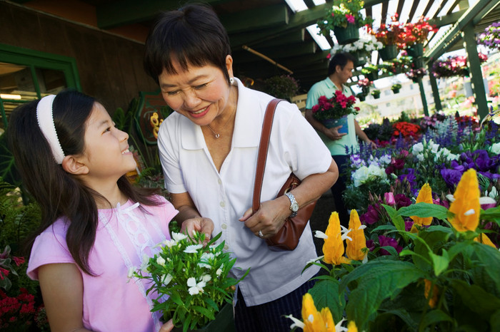 购买小花盆栽的小女孩和奶奶