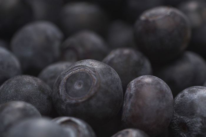 深色调新鲜的蓝莓摄影图