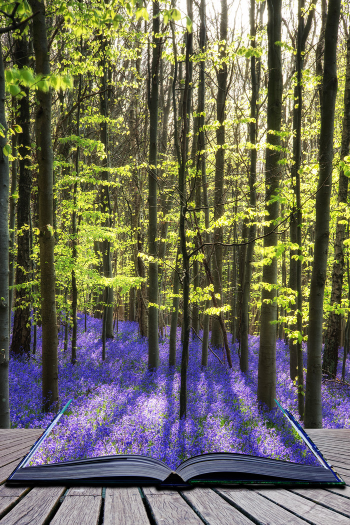 树林树木和蓝色野花