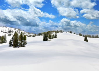 清新漂亮雪地摄影图