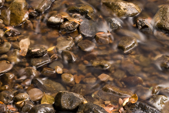 河水中的石头石子