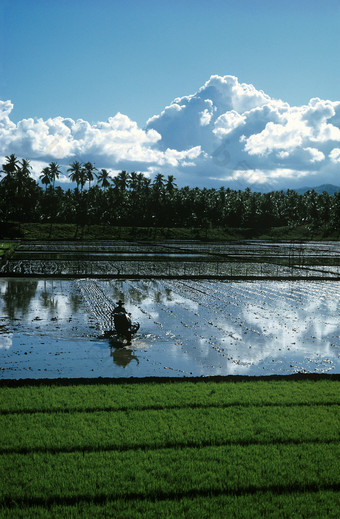 大自然湖水<strong>绿植</strong>风景