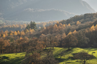 茂密的秋季森林<strong>山林</strong>