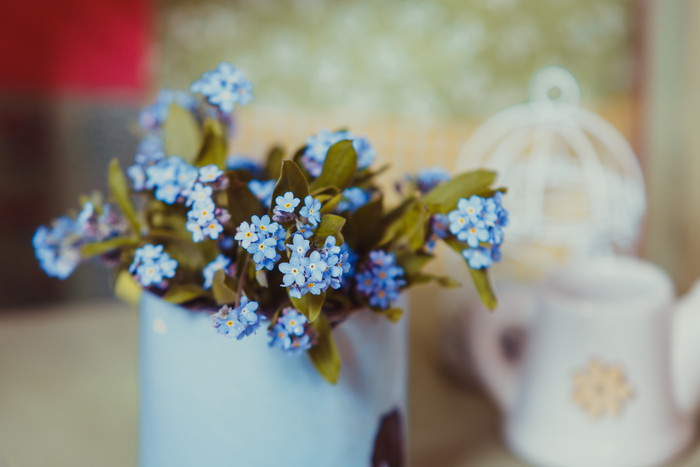 花瓶里的蓝色小花花束