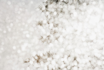 灰色调飞舞的雪花摄影图