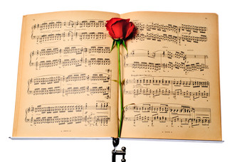 音乐书中的玫瑰花