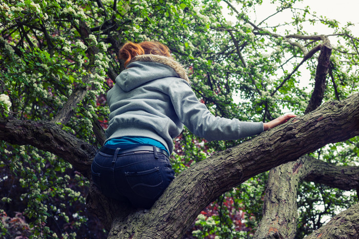 绿色清新爬树的女人摄影图