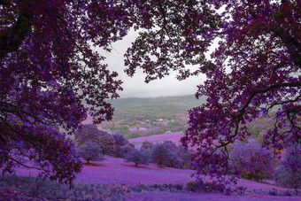 山水画<strong>风景</strong>画着色振响的