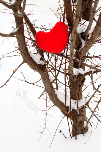 雪地树枝上的红色抱枕