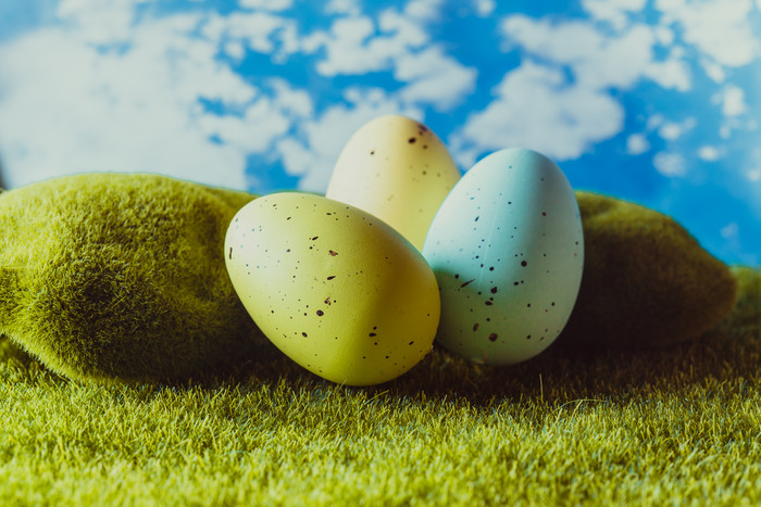 草地上的彩色的蛋