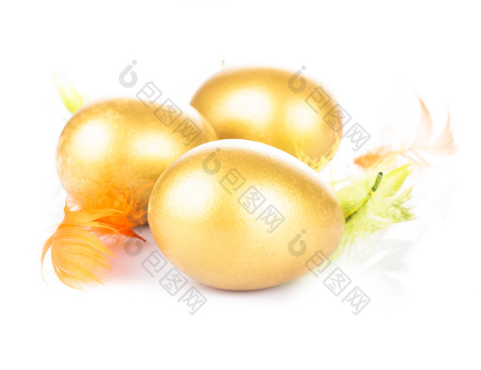 彩色羽毛和金蛋摄影图