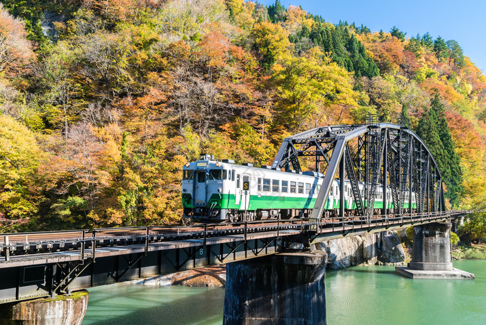 山林中穿过铁架桥的火车