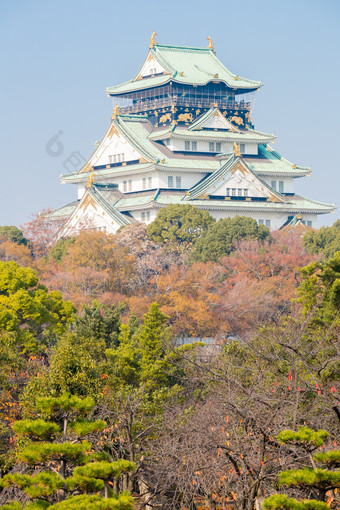 树林中的日式楼阁建筑物