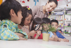 拿放大镜观察植物的幼儿