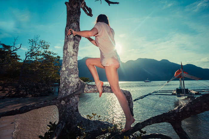 海边爬树的女人摄影图