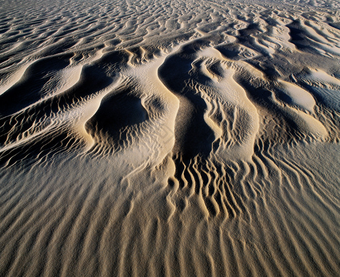 沙漠沙丘的各种形态