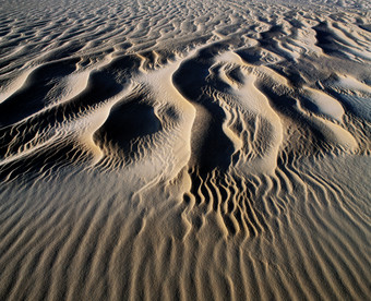 沙漠沙丘的各种形态