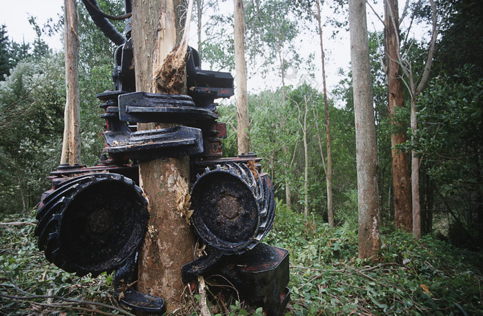 暗色调砍树的机械摄影图
