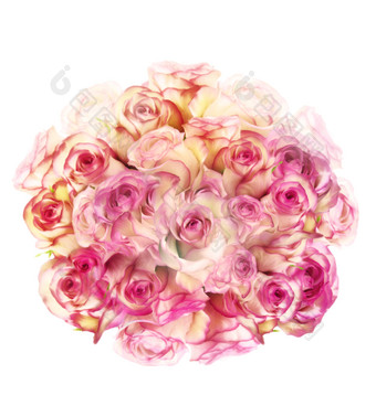 粉色玫瑰花花束花簇