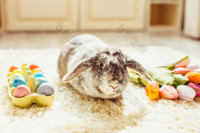 复活节小兔子和彩蛋