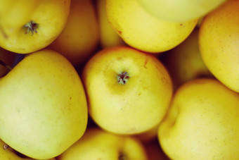新鲜青苹果水果摄影图