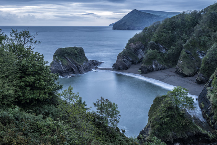 海洋和岛屿上的绿植