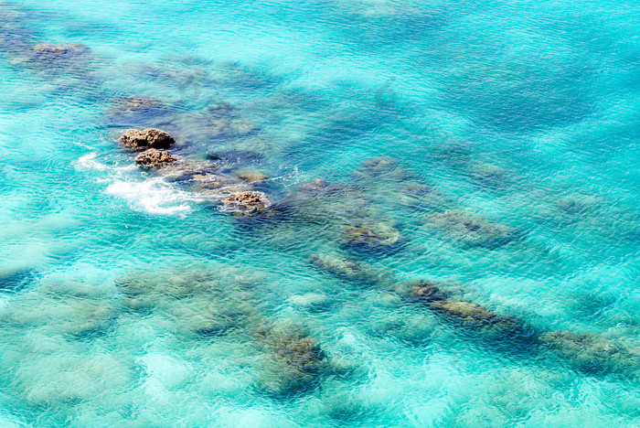 海洋水下珊瑚摄影图
