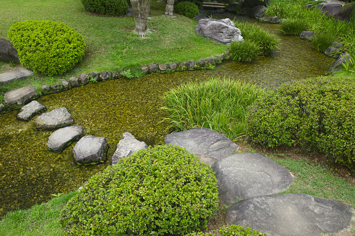 公园里的小池塘绿色风景