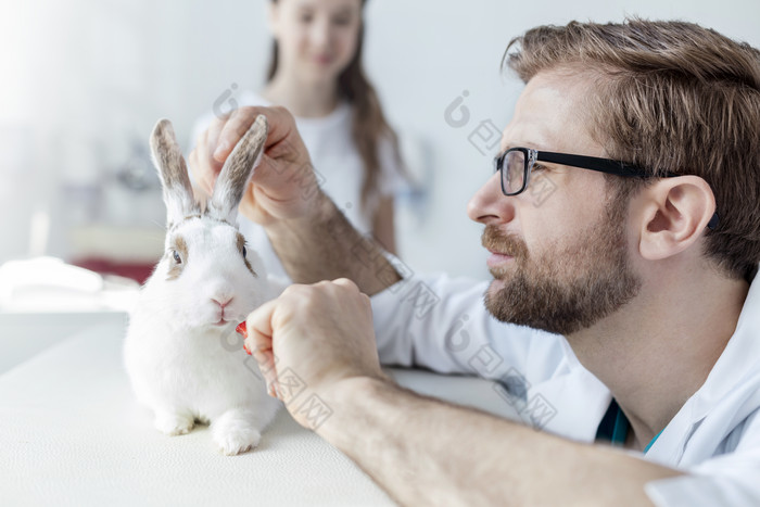 简约风格治疗小兔子摄影图