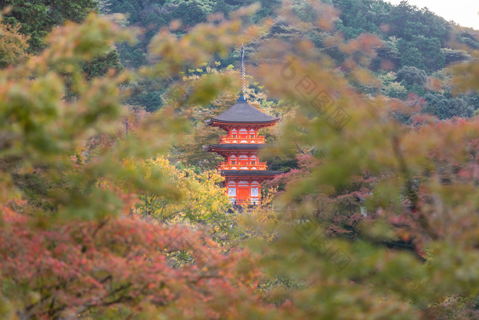 秋季山林中的寺庙